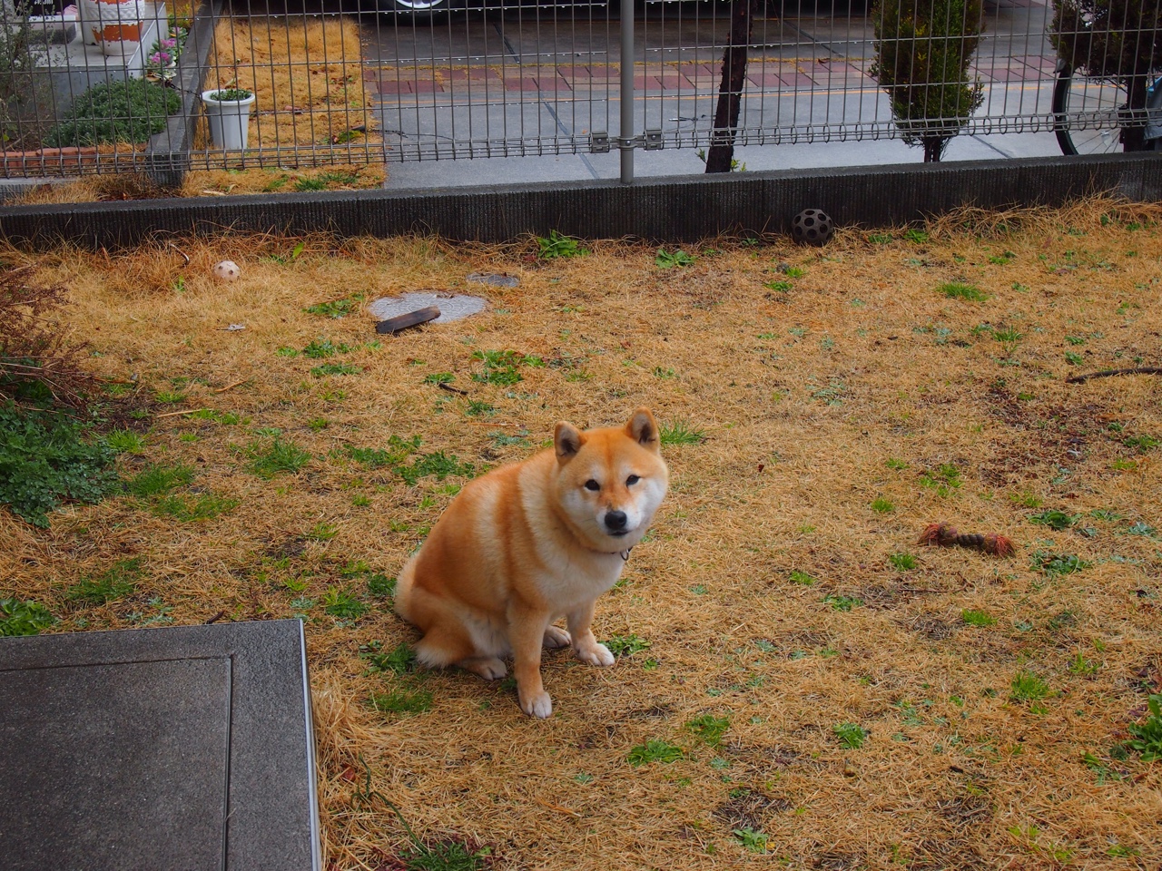 kaiyun体育app-创新比赛模式，“快闪篮球赛”成为城市体育新热点，篮球电竞快闪联赛 - 4x5分钟