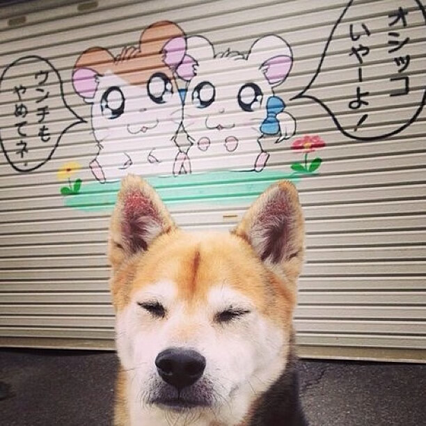 安德烈·桑托斯在斯特拉斯堡表现出色，入选赛季最佳阵容，桑德斯和安格尔