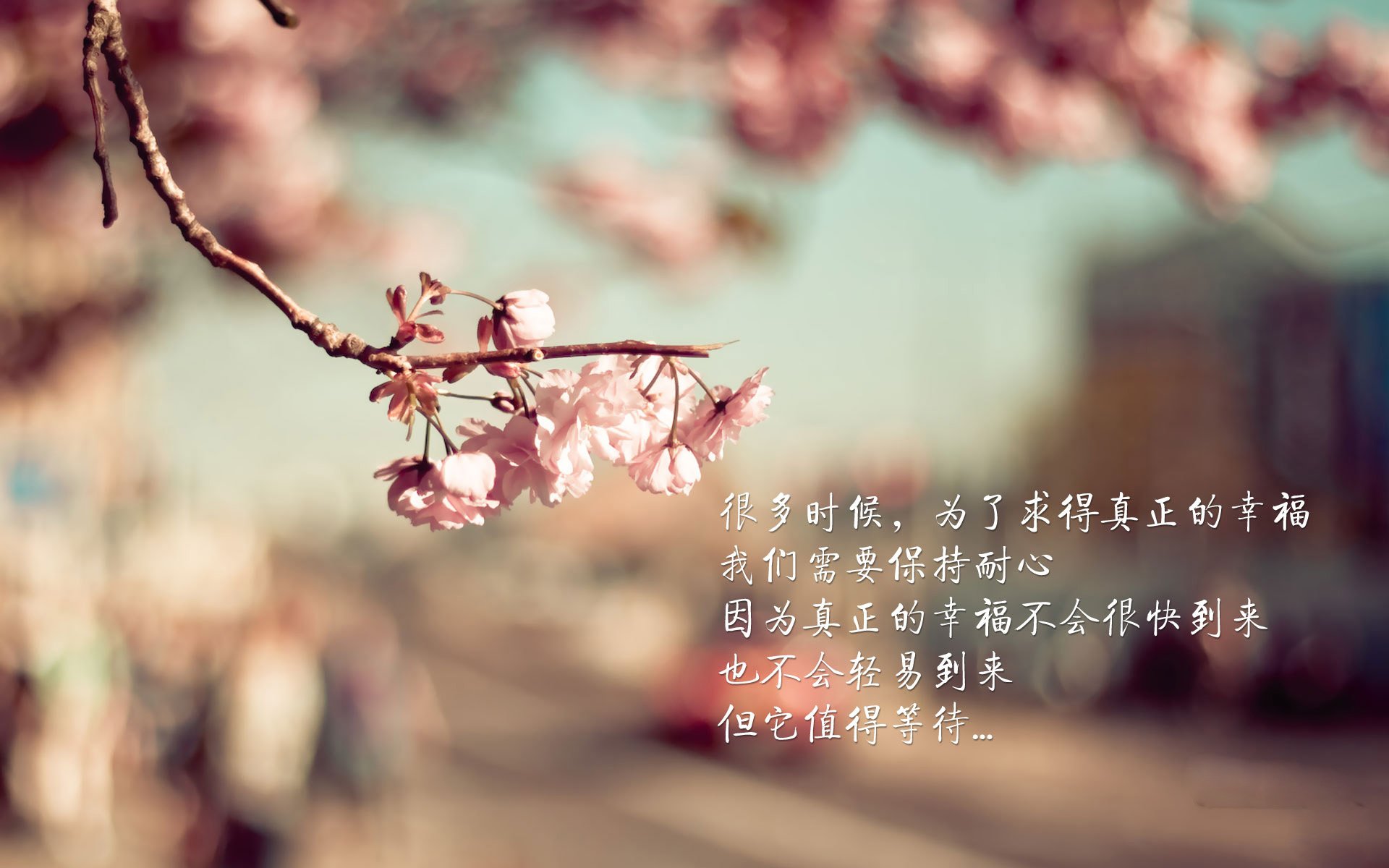 青训场馆智能监控系统优化,确保青少年的训练安全与效率,青训管理