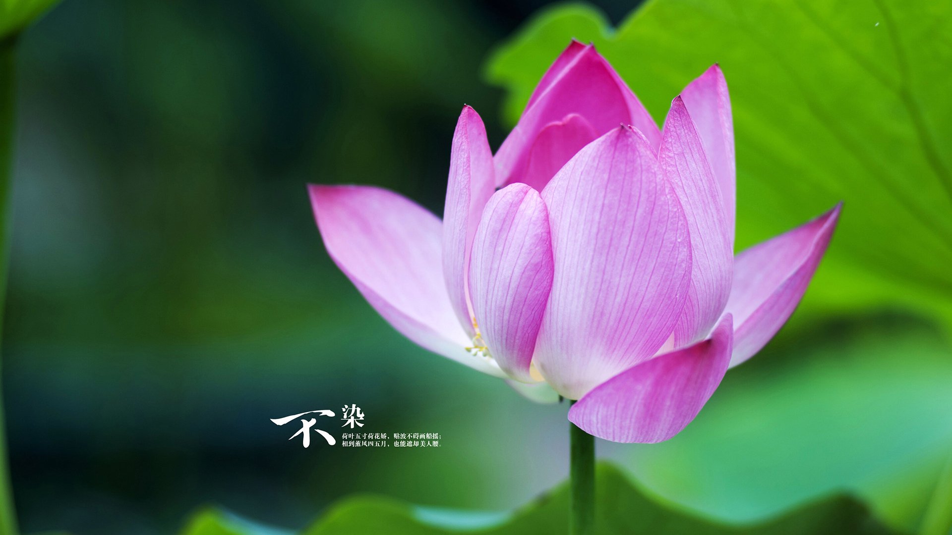 高空跳伞挑战：从天空一跃而下，高空跳伞专业术语