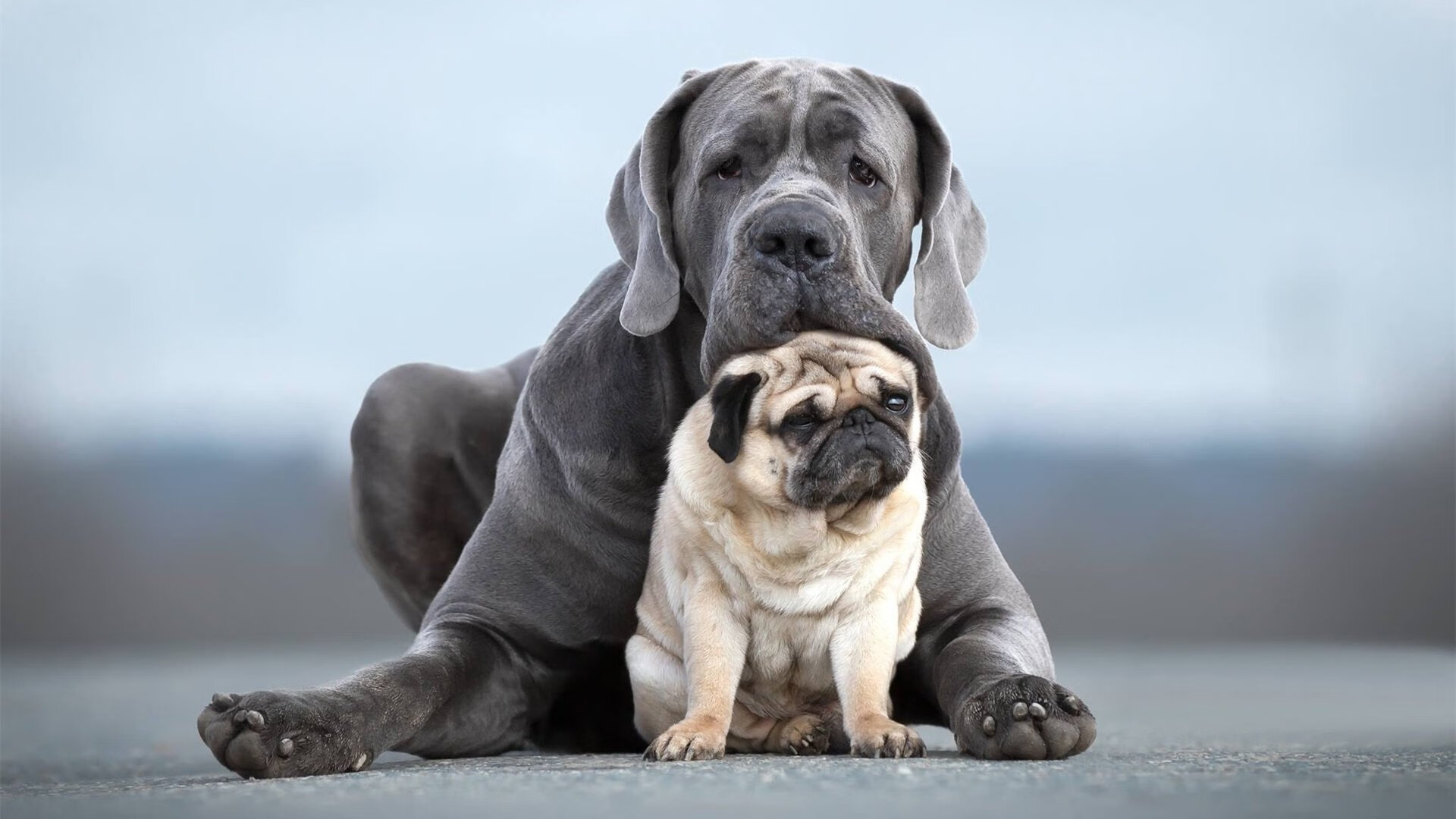 中超球队技术战术不断创新，联赛观赏性增强，中超总结