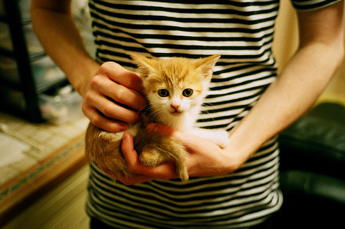 凯泽斯劳滕高歌猛进,梦想前行披荆斩棘,凯泽斯劳滕夺冠主力