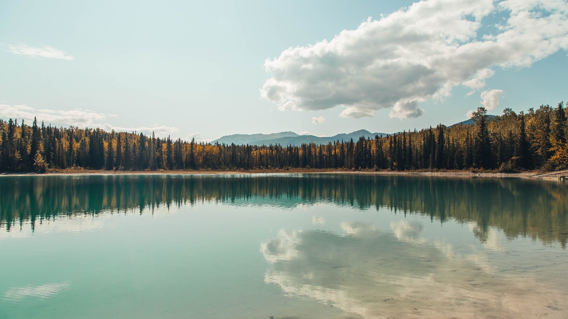 南安普顿防守稳固，圣玛丽球场力拼积分，南安普顿和玛丽女王