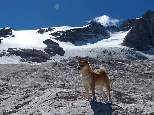 开云·Kaiyun网页版-格拉纳达球队大获胜利，乘胜追击，格拉纳达足球俱乐部最新消息