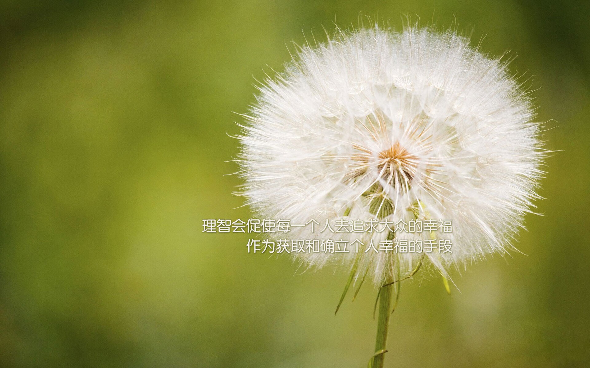 梅西率领迈阿密国际晋级中北美洲及加勒比海冠军杯半决赛，中北美洲及加勒比海冠军联赛奖杯