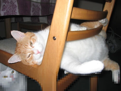 开云官方-青岛队客场惊险获胜，积分榜上升，青岛队连败