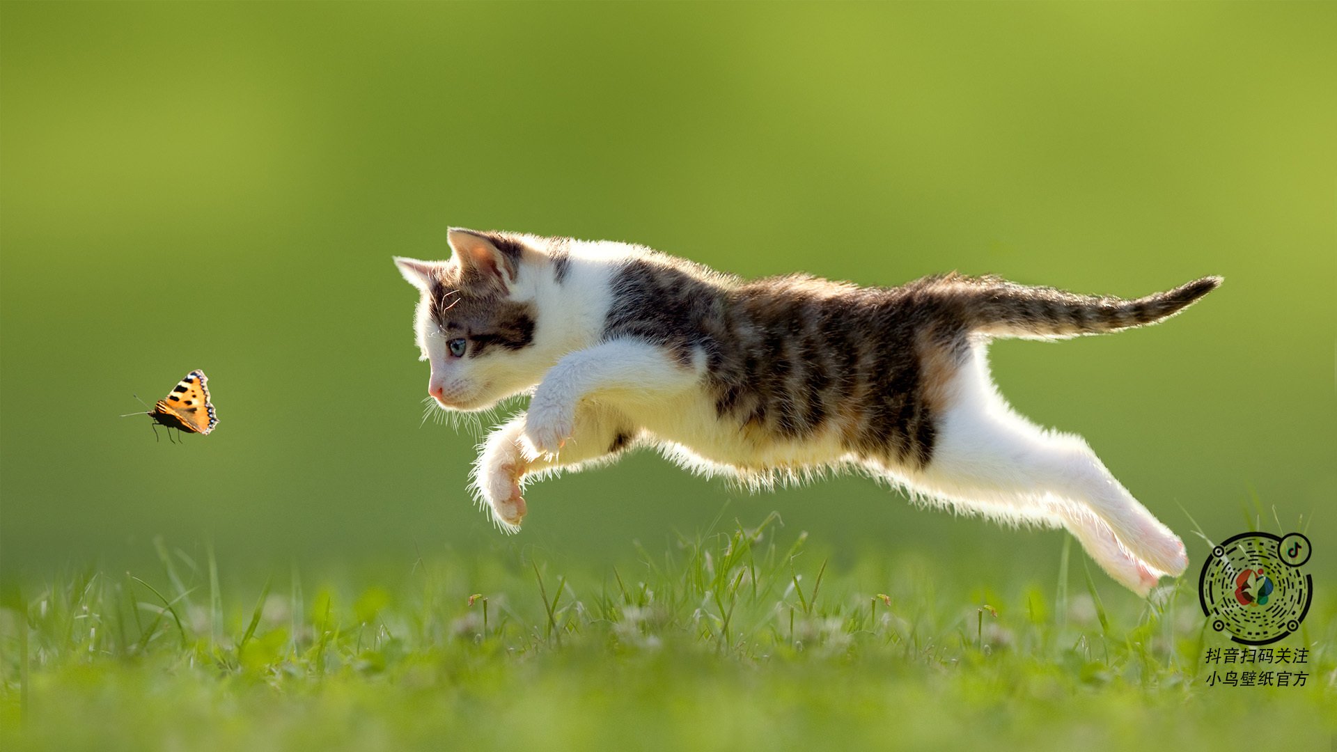 五大联赛是否在逐步削弱传统中锋作用，五大联赛会不会再次停摆