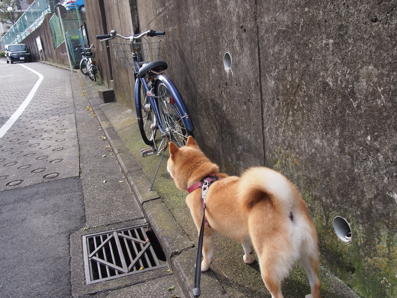 地方足球发展规划缺少顶层设计，足球规划政策