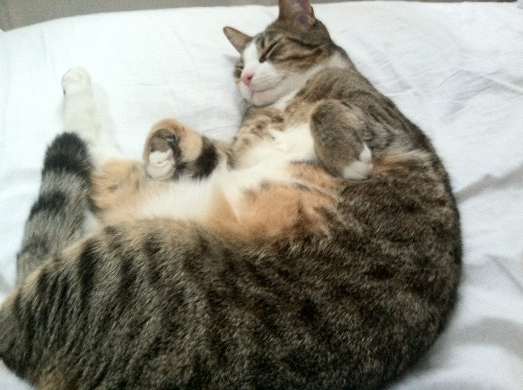 火箭组织全队阅读会增强队内沟通能力,火箭队内训练视频