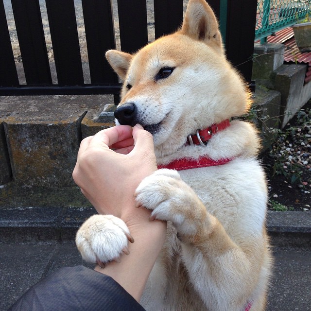 开云平台-英超最后冲刺：每一场都至关重要，英超最后两轮分析