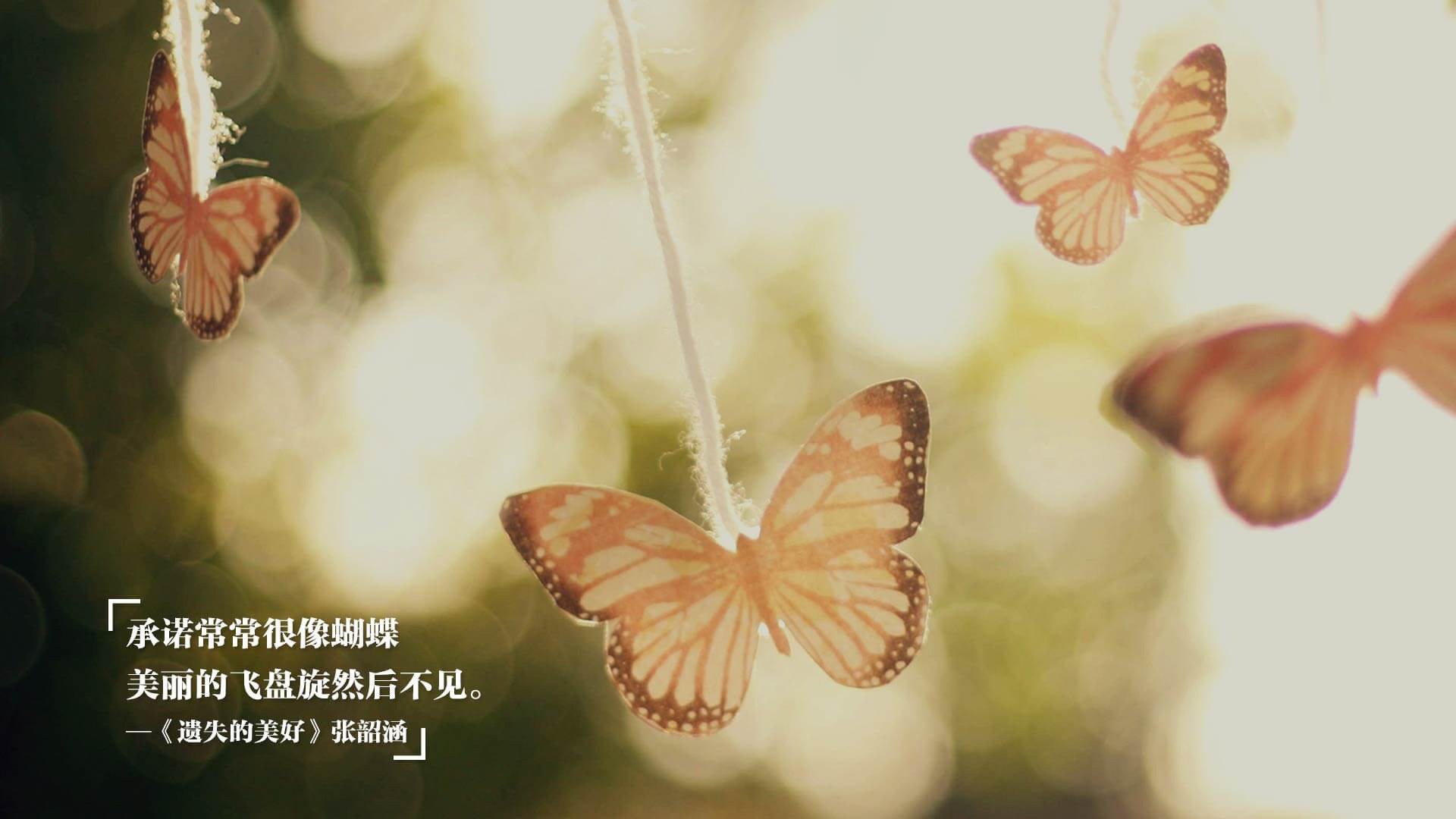 麦克沃伊赛场之外坚持科学训练，麦克沃伊学霸